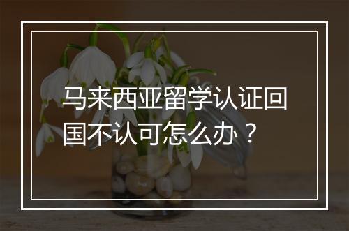 马来西亚留学认证回国不认可怎么办？