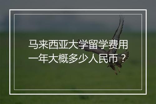 马来西亚大学留学费用一年大概多少人民币？