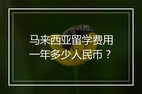 马来西亚留学费用一年多少人民币？