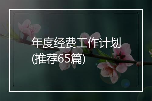 年度经费工作计划(推荐65篇)