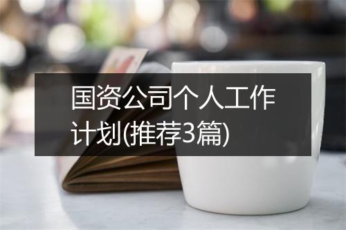国资公司个人工作计划(推荐3篇)