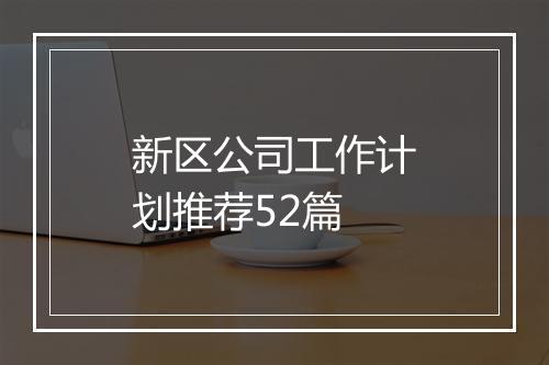 新区公司工作计划推荐52篇