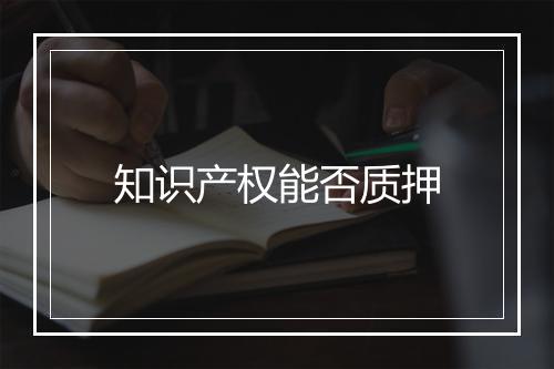知识产权能否质押