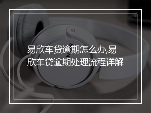 易欣车贷逾期怎么办,易欣车贷逾期处理流程详解