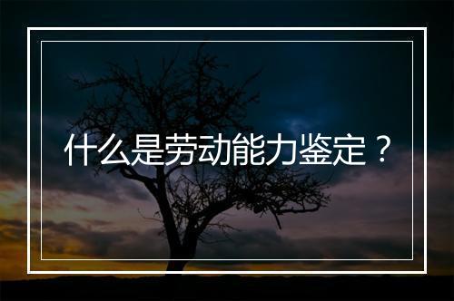 什么是劳动能力鉴定？