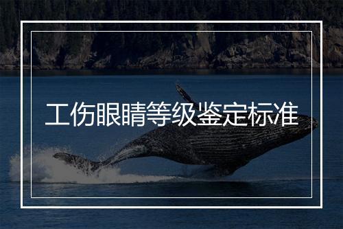 工伤眼睛等级鉴定标准