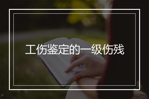 工伤鉴定的一级伤残
