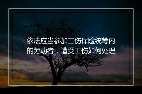 依法应当参加工伤保险统筹内的劳动者，遭受工伤如何处理