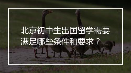 北京初中生出国留学需要满足哪些条件和要求？