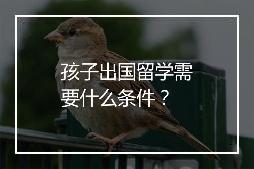 孩子出国留学需要什么条件？