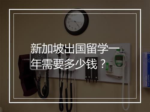 新加坡出国留学一年需要多少钱？
