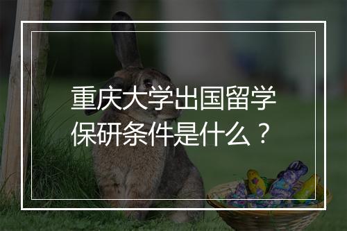 重庆大学出国留学保研条件是什么？