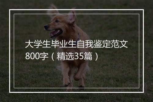 大学生毕业生自我鉴定范文800字（精选35篇）