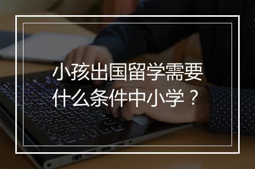 小孩出国留学需要什么条件中小学？