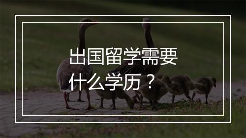出国留学需要什么学历？