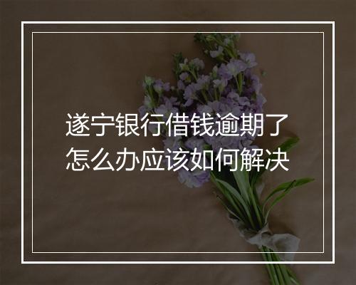 遂宁银行借钱逾期了怎么办应该如何解决