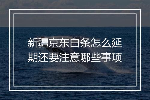 新疆京东白条怎么延期还要注意哪些事项