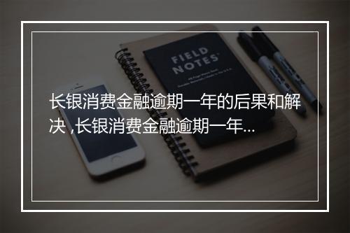 长银消费金融逾期一年的后果和解决 ,长银消费金融逾期一年怎么办