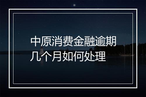 中原消费金融逾期几个月如何处理