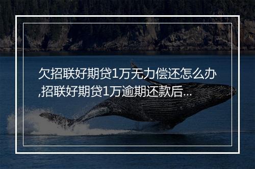 欠招联好期贷1万无力偿还怎么办,招联好期贷1万逾期还款后果
