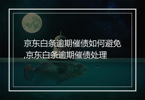 京东白条逾期催债如何避免,京东白条逾期催债处理
