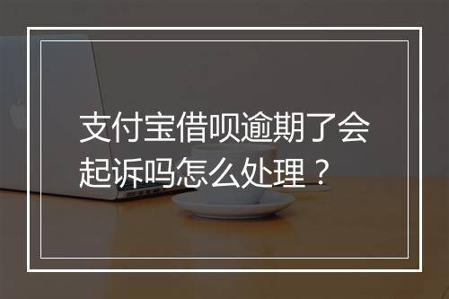支付宝借呗逾期了会起诉吗怎么处理？