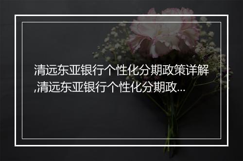 清远东亚银行个性化分期政策详解,清远东亚银行个性化分期政策申请流程