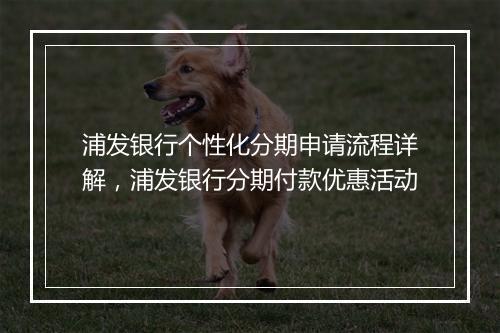 浦发银行个性化分期申请流程详解，浦发银行分期付款优惠活动