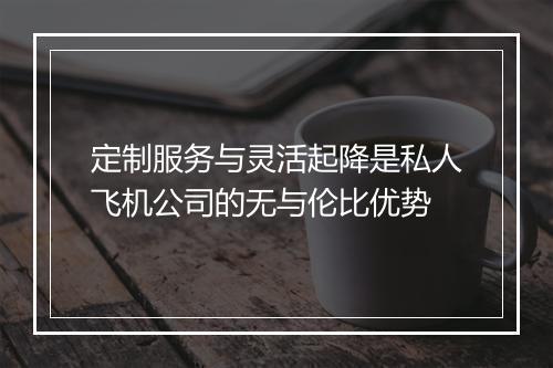 定制服务与灵活起降是私人飞机公司的无与伦比优势