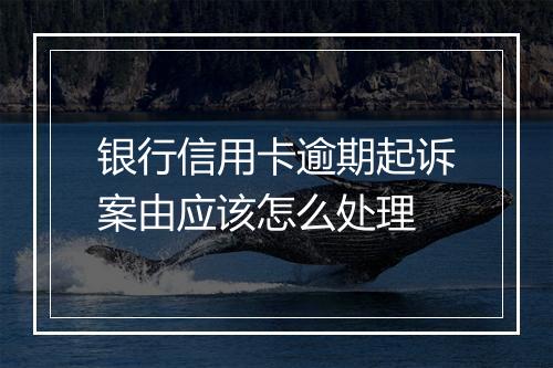 银行信用卡逾期起诉案由应该怎么处理