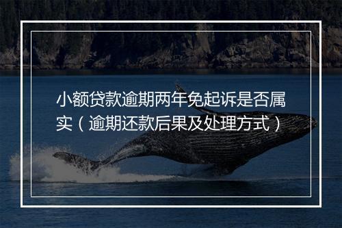 小额贷款逾期两年免起诉是否属实（逾期还款后果及处理方式）