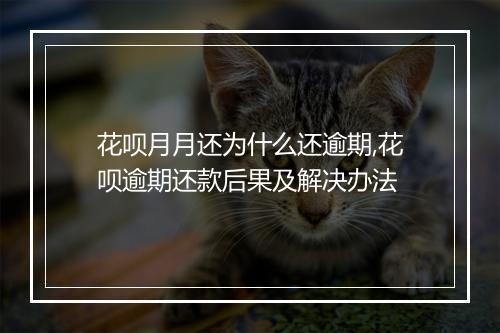 花呗月月还为什么还逾期,花呗逾期还款后果及解决办法