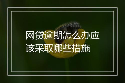 网贷逾期怎么办应该采取哪些措施