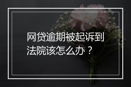 网贷逾期被起诉到法院该怎么办？