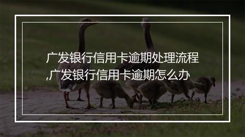 广发银行信用卡逾期处理流程,广发银行信用卡逾期怎么办