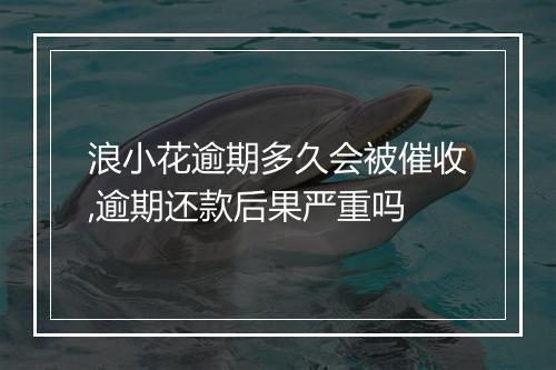 浪小花逾期多久会被催收,逾期还款后果严重吗