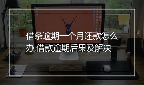 借条逾期一个月还款怎么办,借款逾期后果及解决