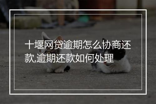 十堰网贷逾期怎么协商还款,逾期还款如何处理