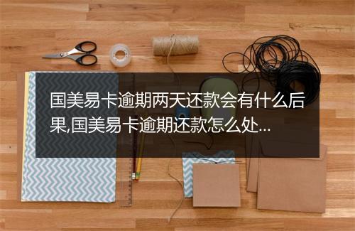 国美易卡逾期两天还款会有什么后果,国美易卡逾期还款怎么处理