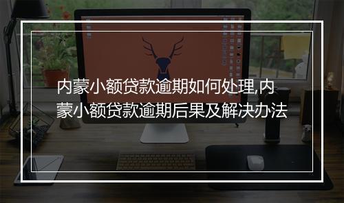内蒙小额贷款逾期如何处理,内蒙小额贷款逾期后果及解决办法