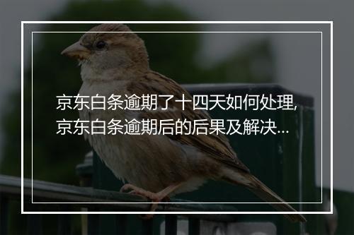 京东白条逾期了十四天如何处理,京东白条逾期后的后果及解决办法