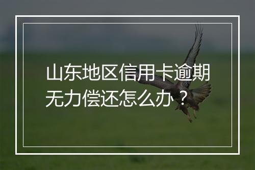 山东地区信用卡逾期无力偿还怎么办？