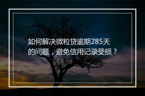如何解决微粒贷逾期285天的问题，避免信用记录受损？