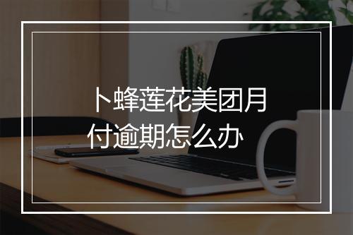 卜蜂莲花美团月付逾期怎么办