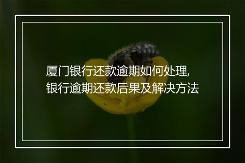厦门银行还款逾期如何处理,银行逾期还款后果及解决方法