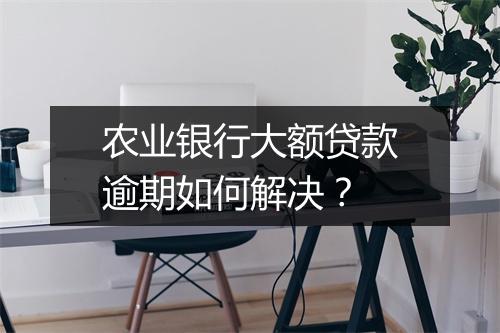 农业银行大额贷款逾期如何解决？