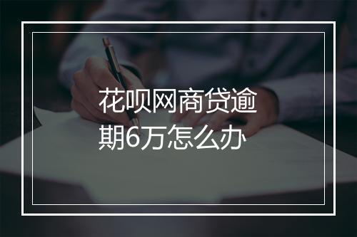 花呗网商贷逾期6万怎么办