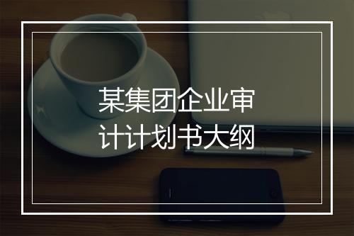 某集团企业审计计划书大纲
