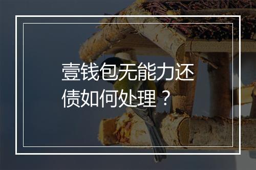 壹钱包无能力还债如何处理？