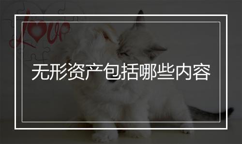 无形资产包括哪些内容
